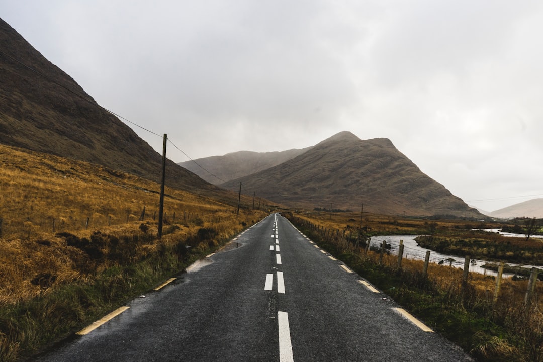 Car insurance savings calculator